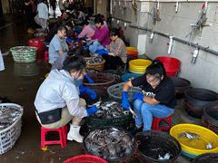 -高佳庄·舟山海鲜(海景旗舰店)