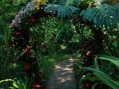 -中国科学院西双版纳热带植物园