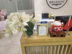 点击看大图 -薇薇安花系SPA