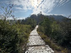 -桃花岭景区