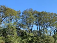 -九曲溪竹筏码头