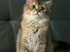 -瑞派蒂凯宠物医院·免疫点·宠保定点