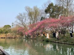 -西溪国家湿地公园