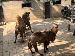 -昆明动物园