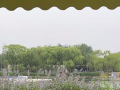 -沿途四季·云南菜·诗酒茶(蓝色港湾店)