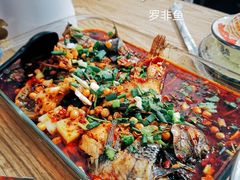 凉拌罗非鱼-风鑫铃罗非鱼(道沟店)