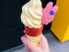 -麦当劳(望京国际商业中心店)