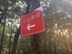 -灵岩山风景区