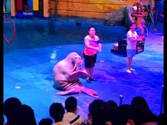 -烟台海昌鲸鲨海洋公园