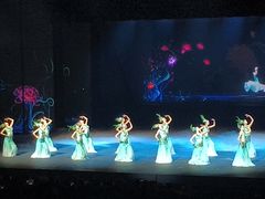 -丽江千古情