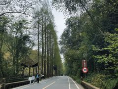 -青城山