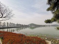 -东湖落雁景区