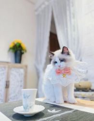 -闺蜜瑜伽·普拉提女性塑形馆