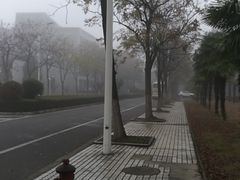 -同济大学(嘉定校区)