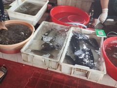 -清远三鸟海鲜农贸市场