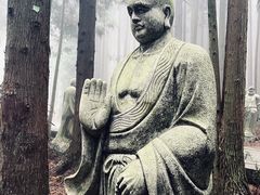 -武陵山森林公园
