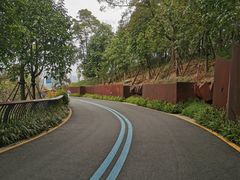 -飞凤山奥体公园