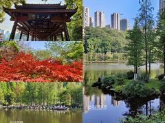 -重庆彩云湖湿地公园