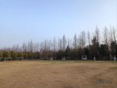 -前小桔亲子创意农场·草莓采摘·露营烧烤