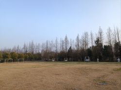 -前小桔亲子创意农场·草莓采摘·露营烧烤