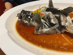 小龙趸-宴小馆·小海鲜青岛菜(五四广场店)