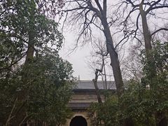 -灵谷景区