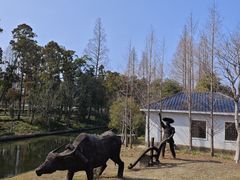 -上海长兴岛郊野公园