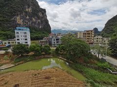 -银峰农庄·特色烧鸡·鲜无花果浸鸡