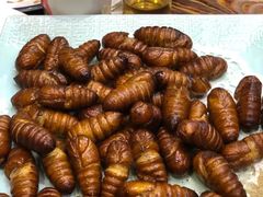 -闯关东东北农家菜(崂山石老人店)
