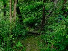 -江郎山风景名胜区