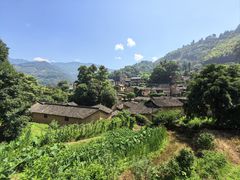 -杨家堂村