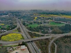 -桤木河湿地公园