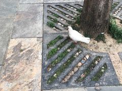 -秦始皇兵马俑博物馆-停车场