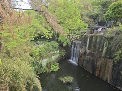 -千岛湖东南湖区