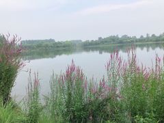 -东郊湿地公园