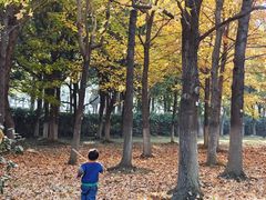 -白塘生态植物园