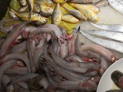 -合家小菜餐馆(新诚花苑店)