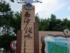 -大湾区中央湿地公园