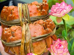 -水岸居湖景农家乐·阳澄湖大闸蟹