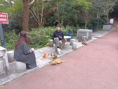 -敬亭山风景名胜区