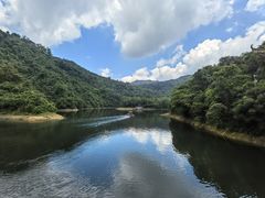 -鼎湖山风景区