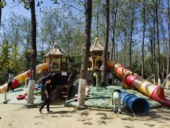 -合肥滨湖国家森林公园