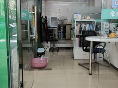 -瑞派动物医院·猫专科·至诚(江南中分院)