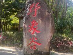 -野象谷景区