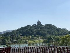 -王借岗森林公园