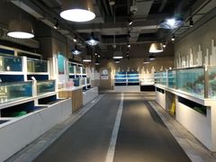 -盒马渔市(平高企业集团·平高广场店)