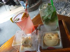 -柴犬高等学院·狗咖·柴犬售卖·宠物训练