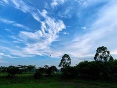 -满記土窑烧鷄波浪山莊
