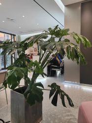 -米莱摄影写真(五大道别墅店)