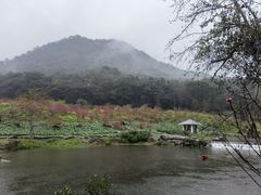 -广州市石门国家森林公园